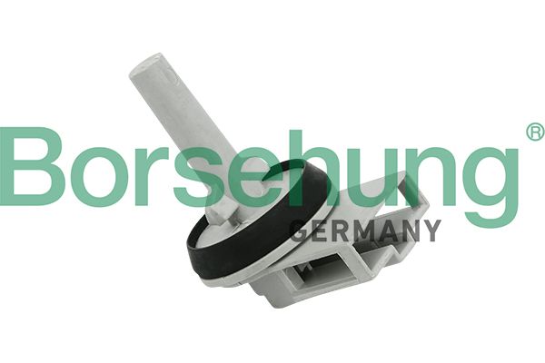 BORSEHUNG B11447 Sensor, evaporator temperature