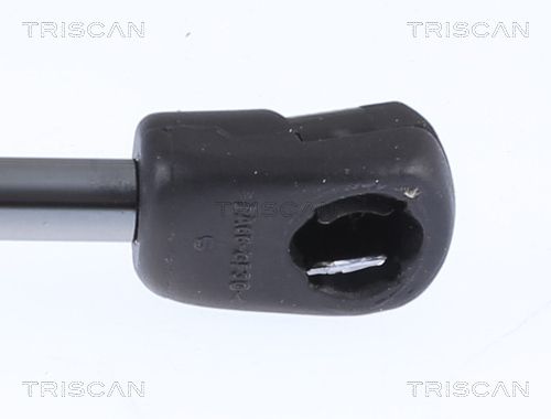 Gas Spring, bonnet-2