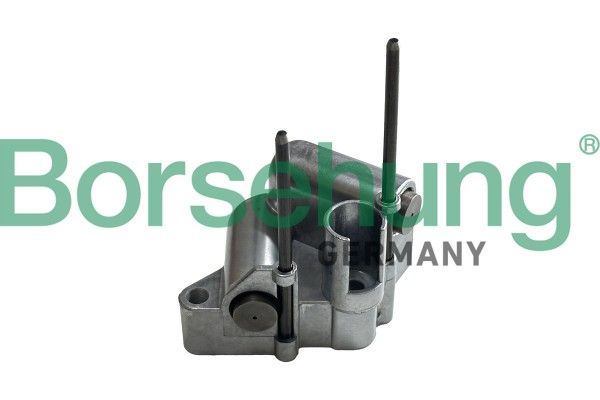 BORSEHUNG B13313 Tensioner, timing chain