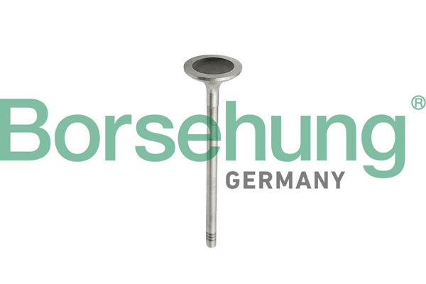 BORSEHUNG B10343 Intake valve