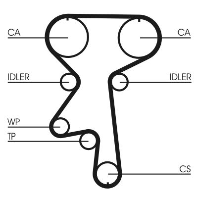 Water Pump & Timing Belt Kit-1