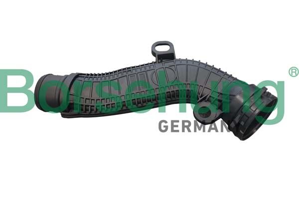 BORSEHUNG B12348 Hose, crankcase ventilation
