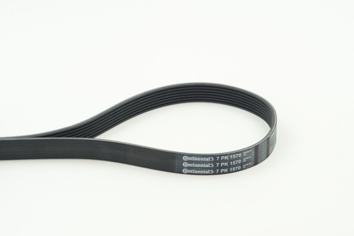 CONTINENTAL CTAM 7PK1570 V-ribbed belt