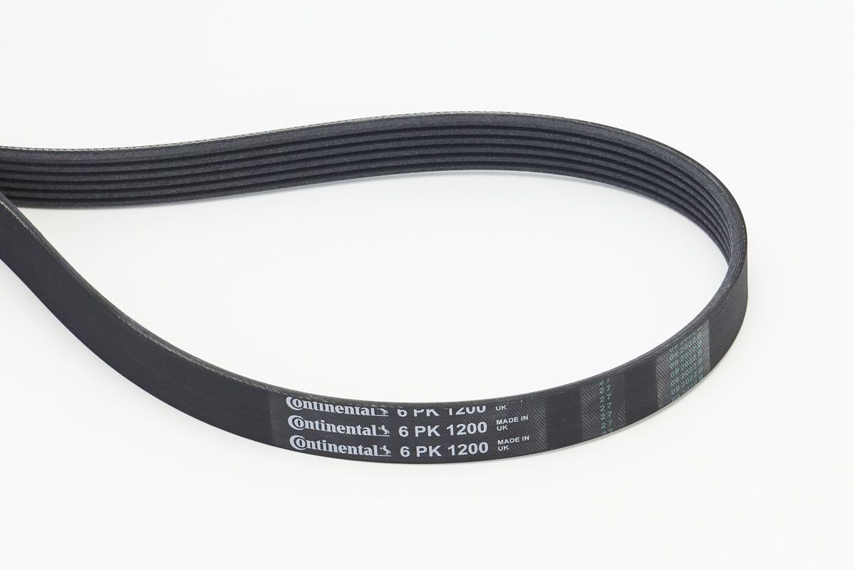CONTINENTAL CTAM 6PK1200 V-ribbed belt