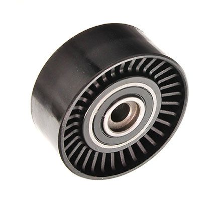 Tensioner Pulley, V-ribbed belt-1