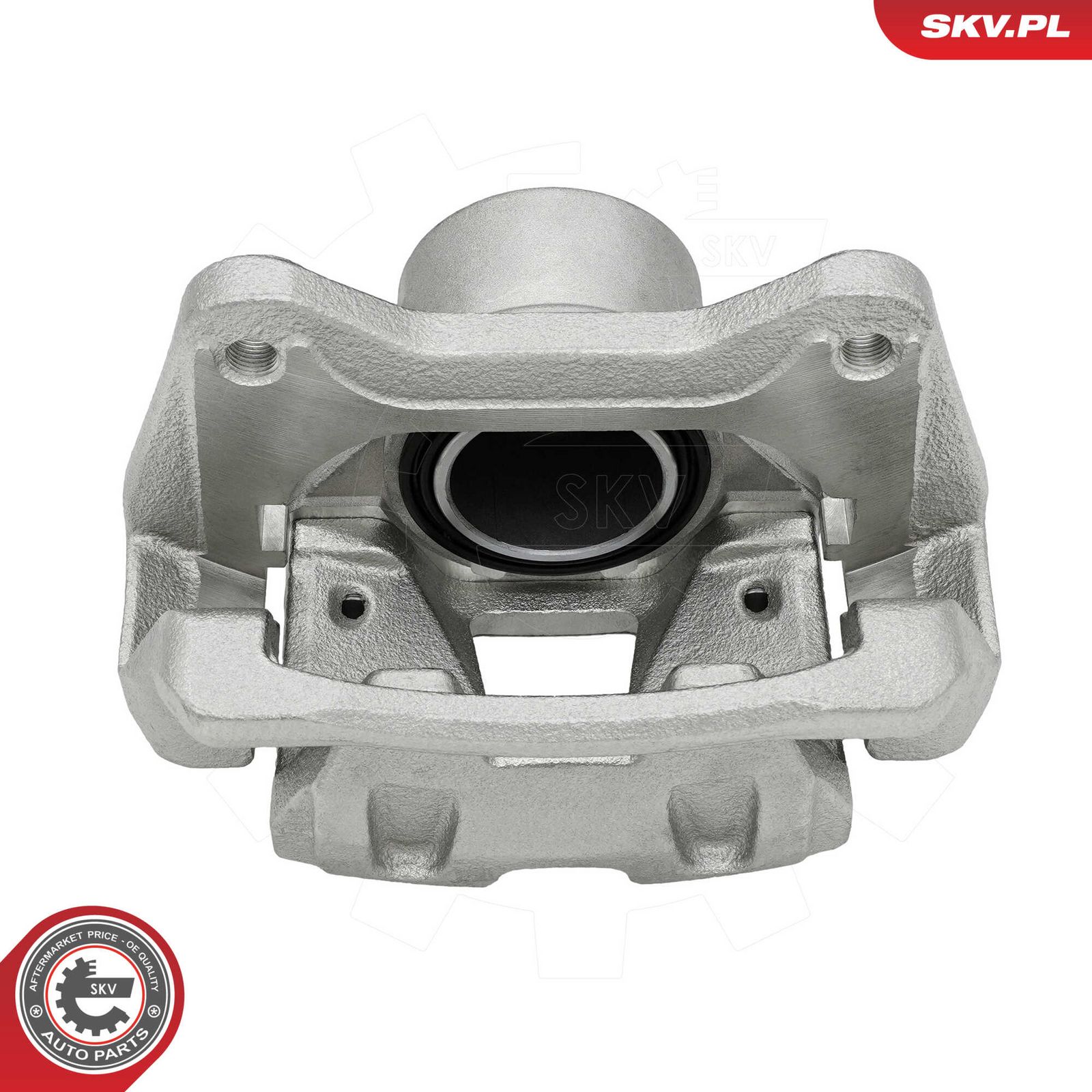ESEN SKV 79SKV131 Brake caliper