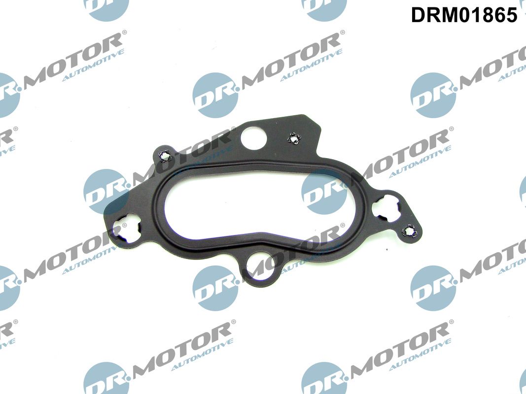DR.MOTOR AUTOMOTIVE DRM01865 Gasket, coolant flange