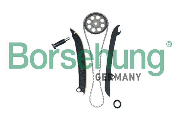 BORSEHUNG B18977 Timing chain kit