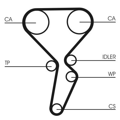 Timing Belt-1