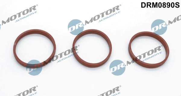 DR.MOTOR AUTOMOTIVE DRM0890S Gasket set, intake manifold