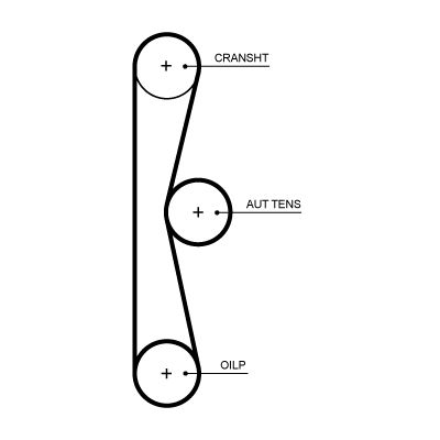 Water Pump & Timing Belt Kit-2