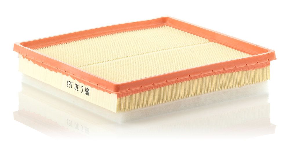 MANN-FILTER C 30 163 Air filter
