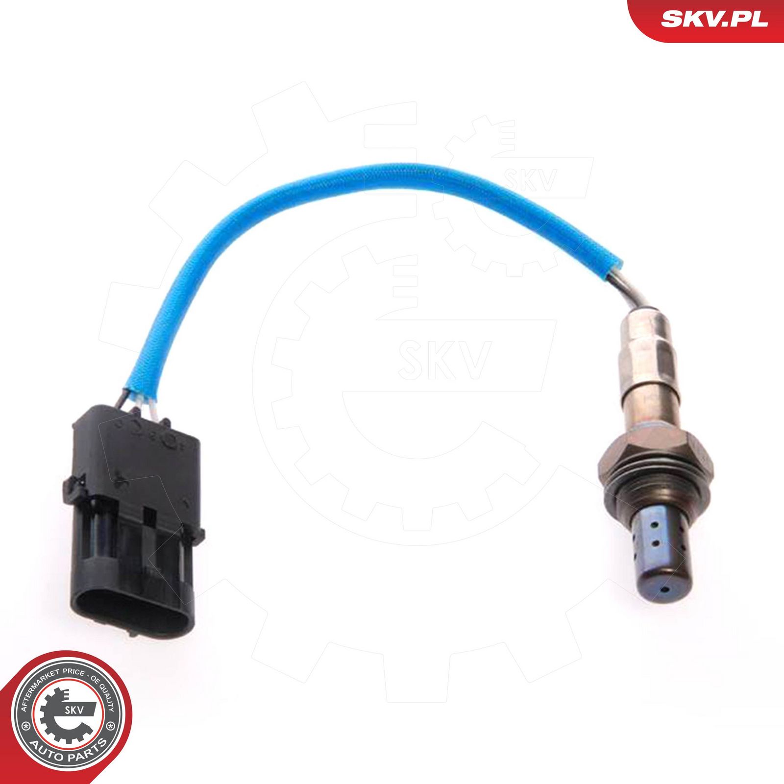 Oxygen Sensor-1