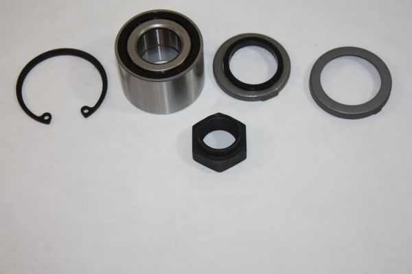 AUTOMEGA 110128910 Wheel bearing kit