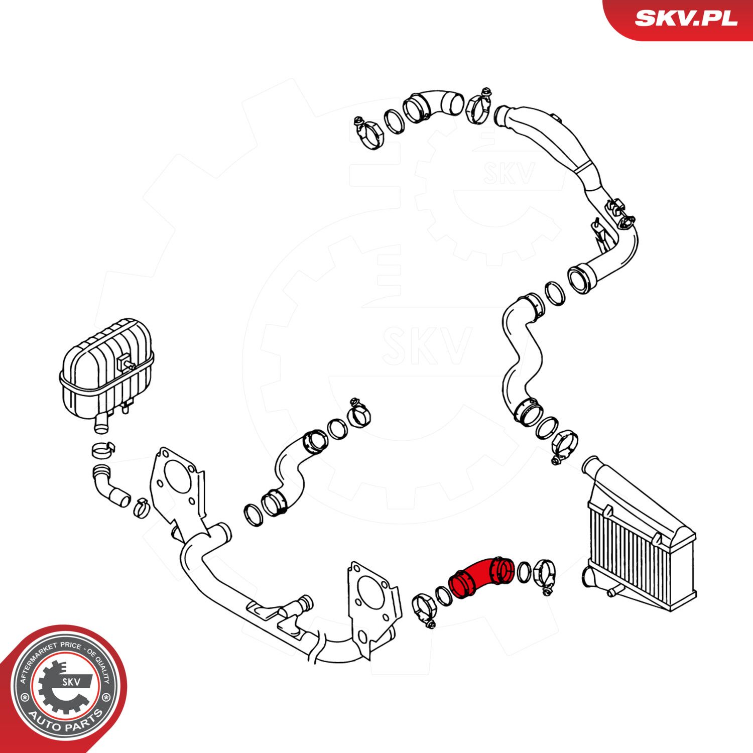 Charge Air Hose-2