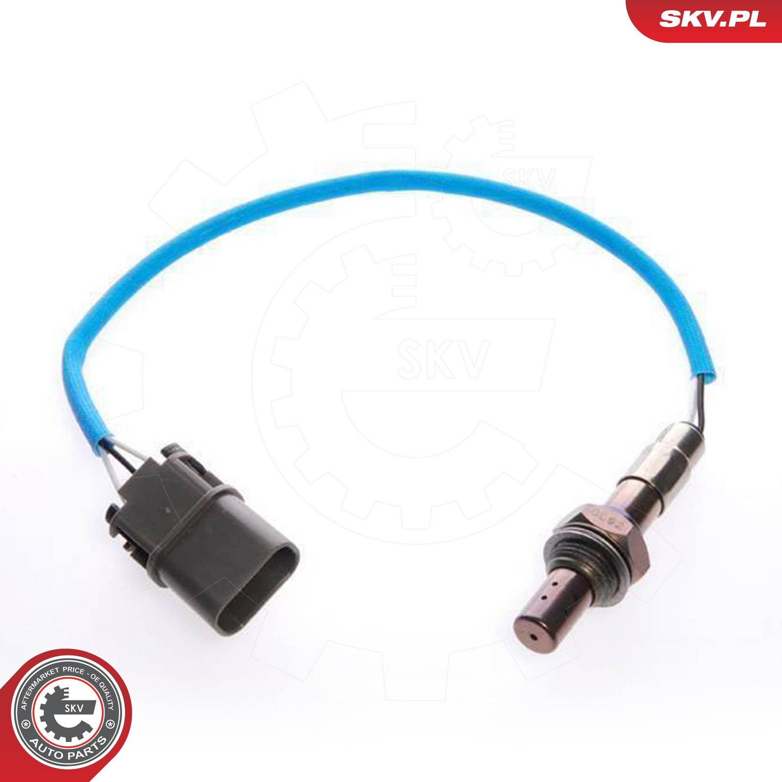 Oxygen Sensor