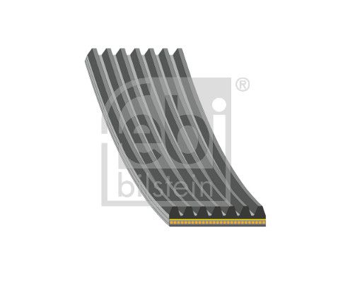 FEBI BILSTEIN 182992 V-ribbed belt