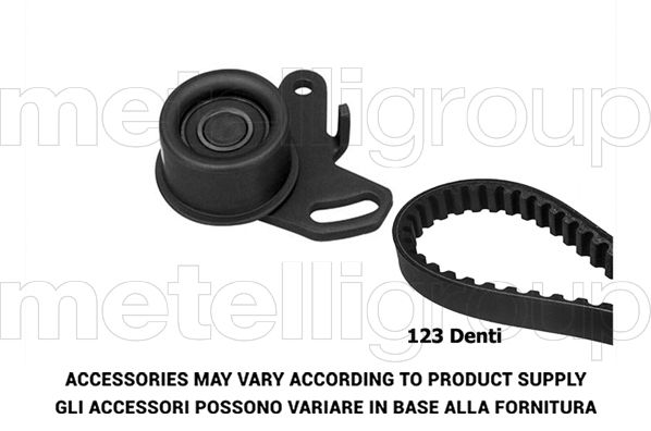 GRAF TP265 Timing belt kit