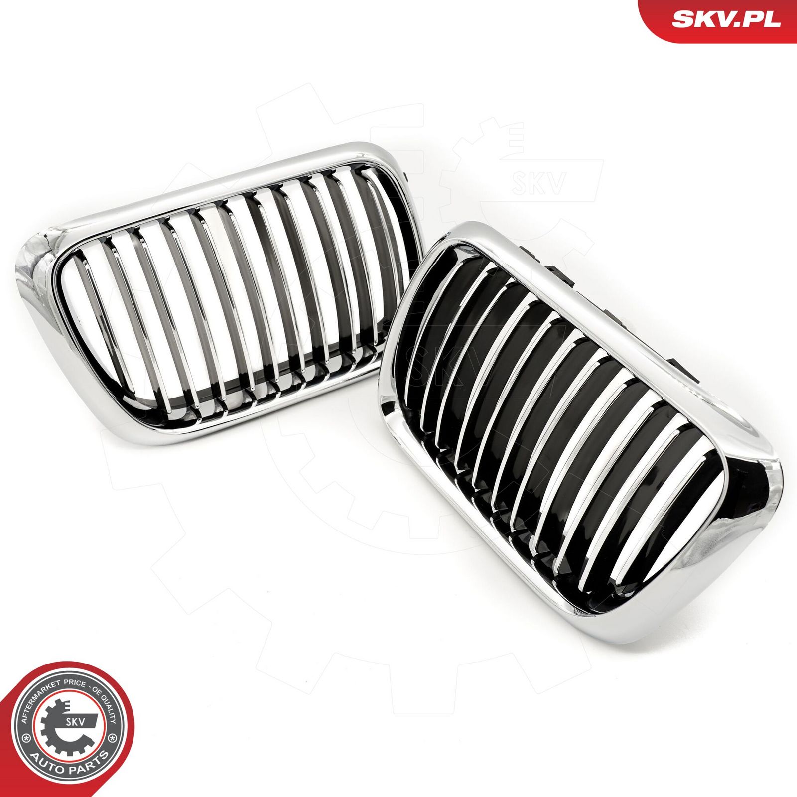 Radiator Grille-2