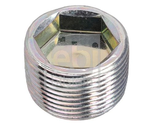Screw Plug, manual transmission housing