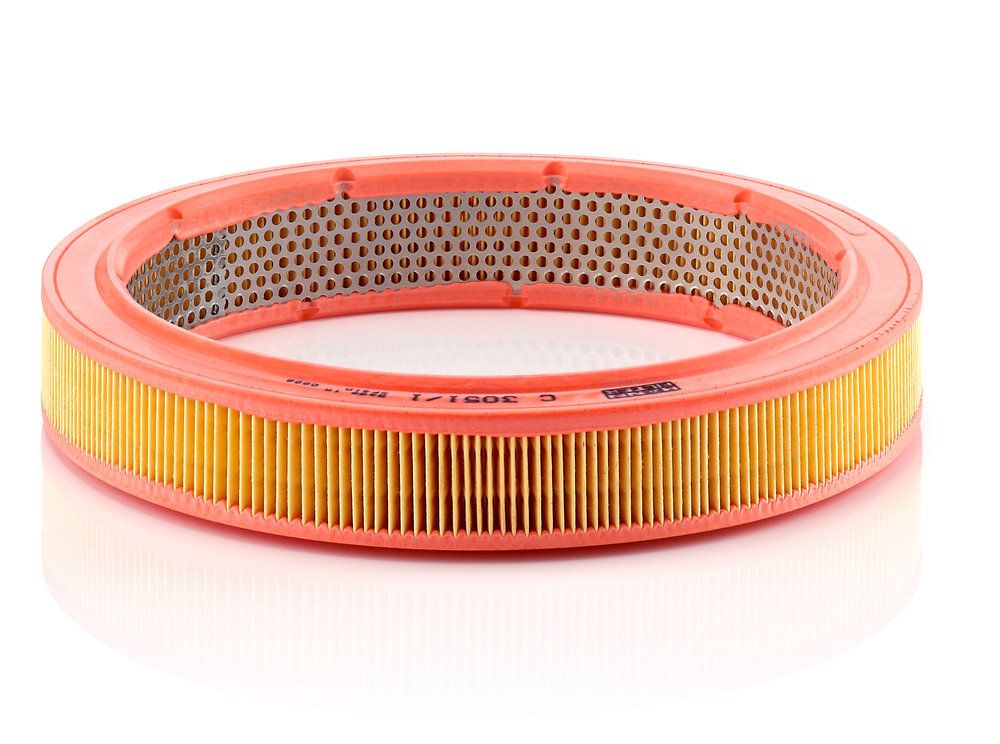 MANN-FILTER C 3051/1 Air filter