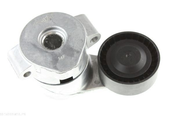 AUTOMEGA 160025810 Tensioner lever, v-ribbed belt