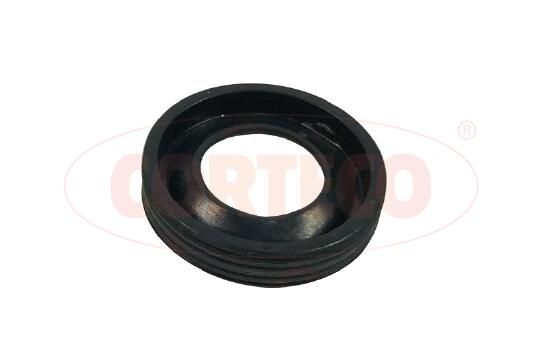Seal Ring Set, injection valve-2