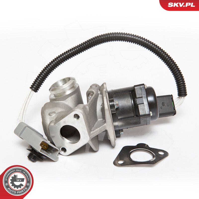 EGR Valve-4