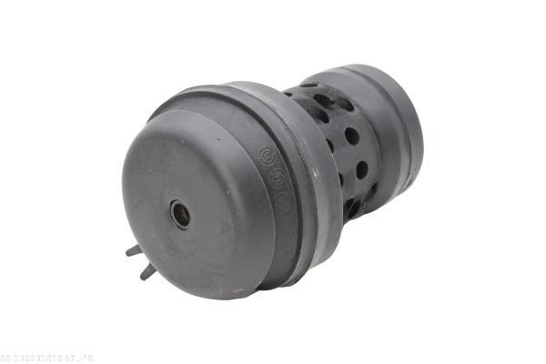 Mounting, engine-2