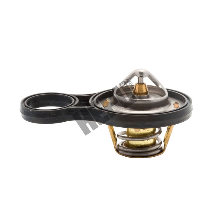 HEPU TM1293 Thermostat, coolant