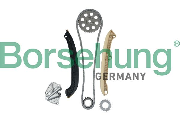 BORSEHUNG B16294 Timing chain kit