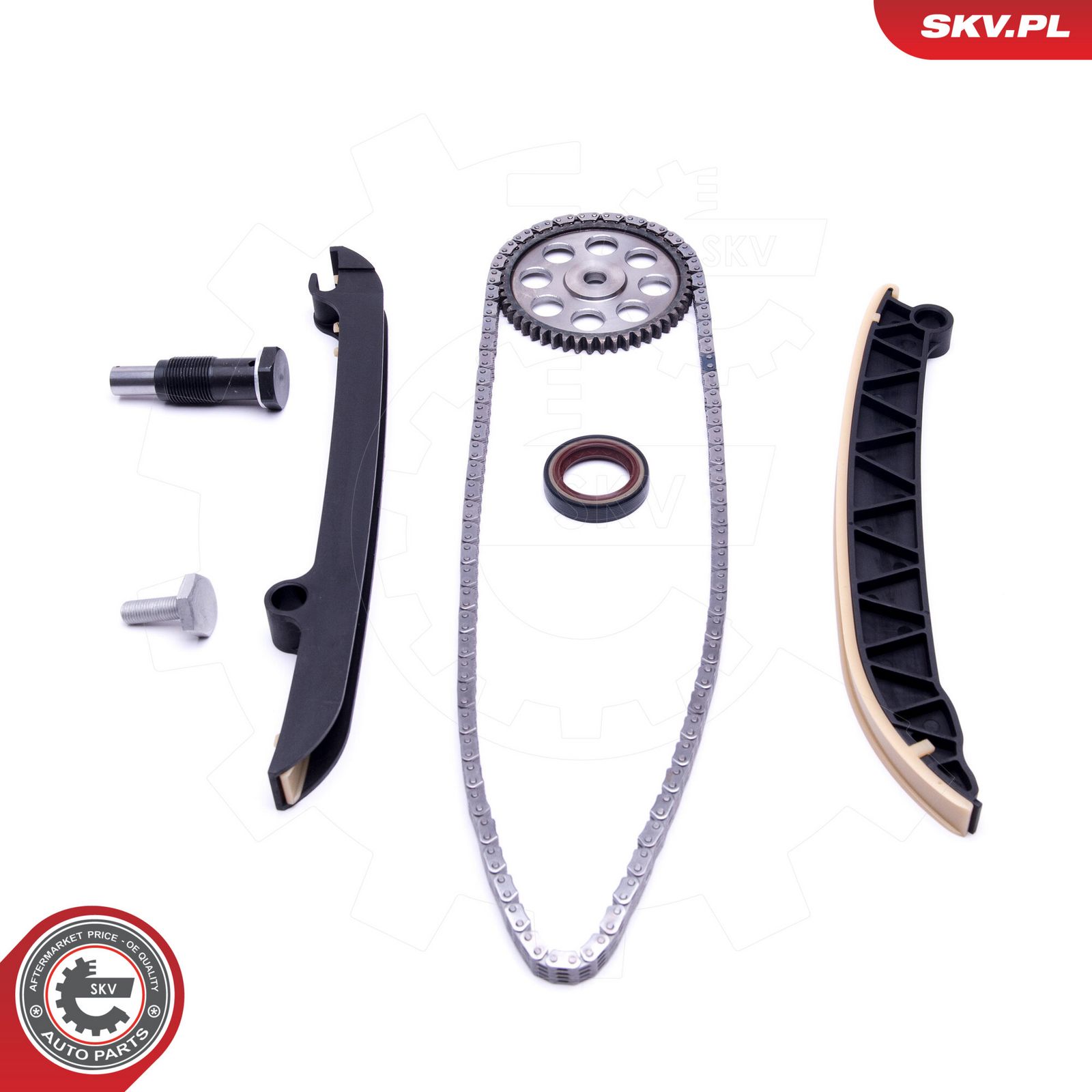 Timing Chain Kit