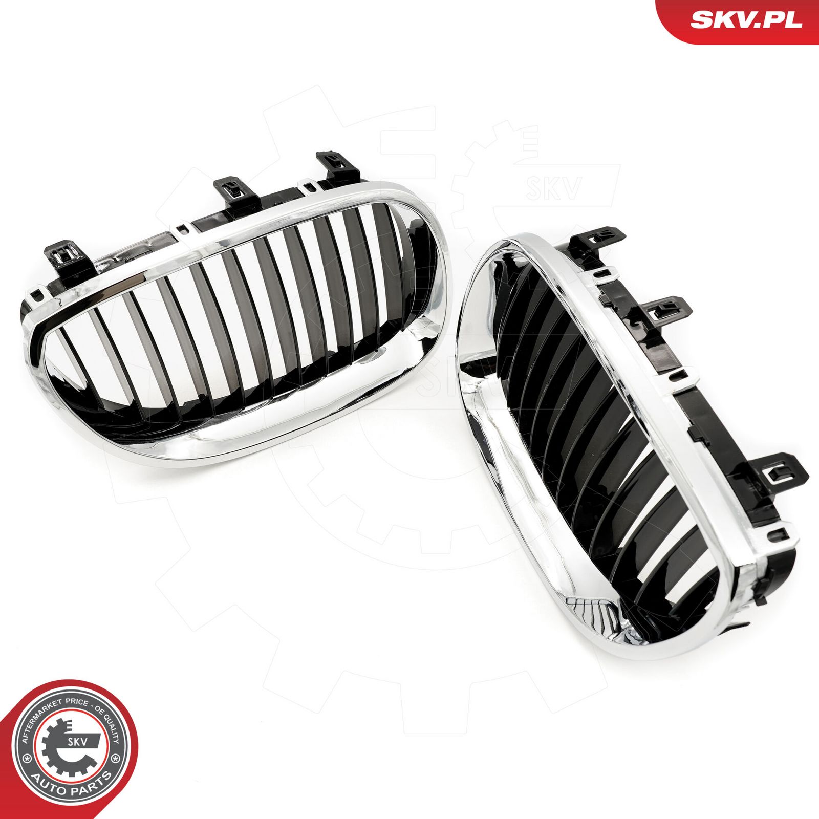 Radiator Grille-2
