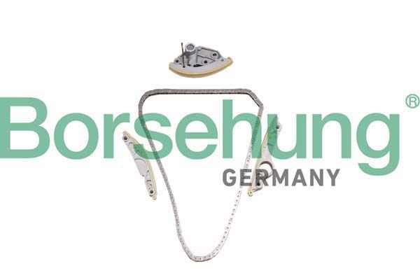 BORSEHUNG B10246 Timing chain kit