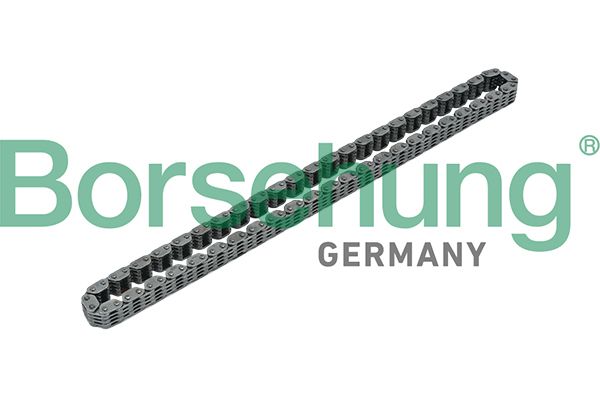 BORSEHUNG B17885 Timing chain