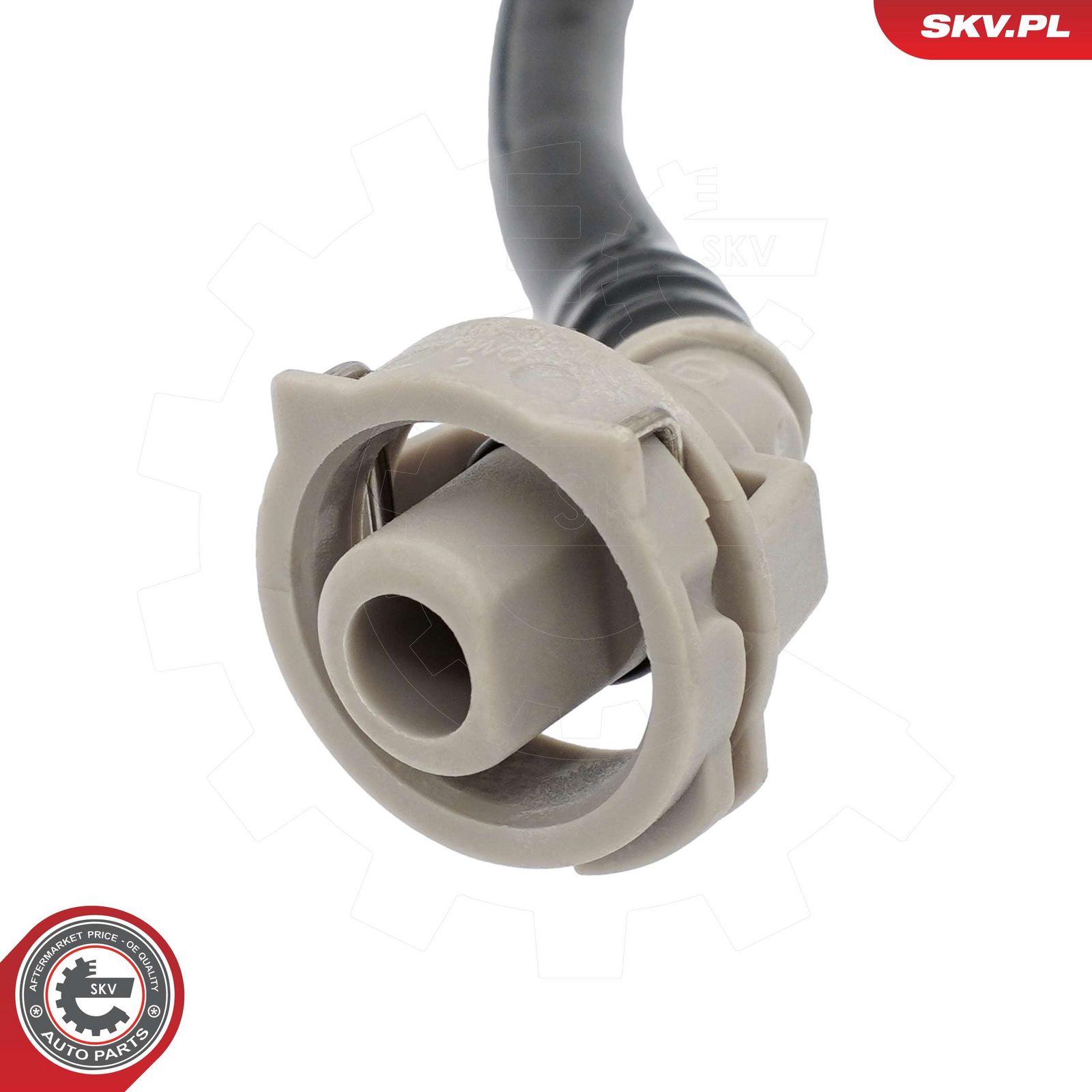 Radiator Hose-1