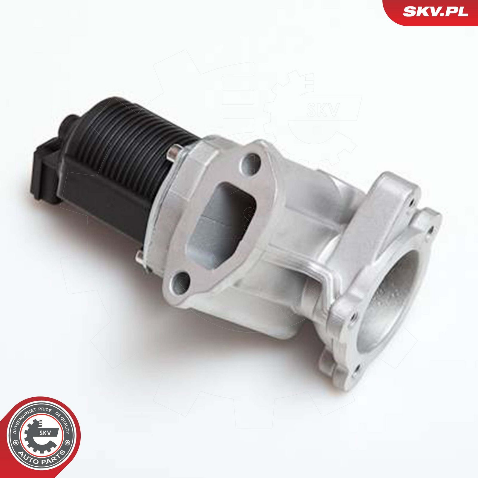 EGR Valve