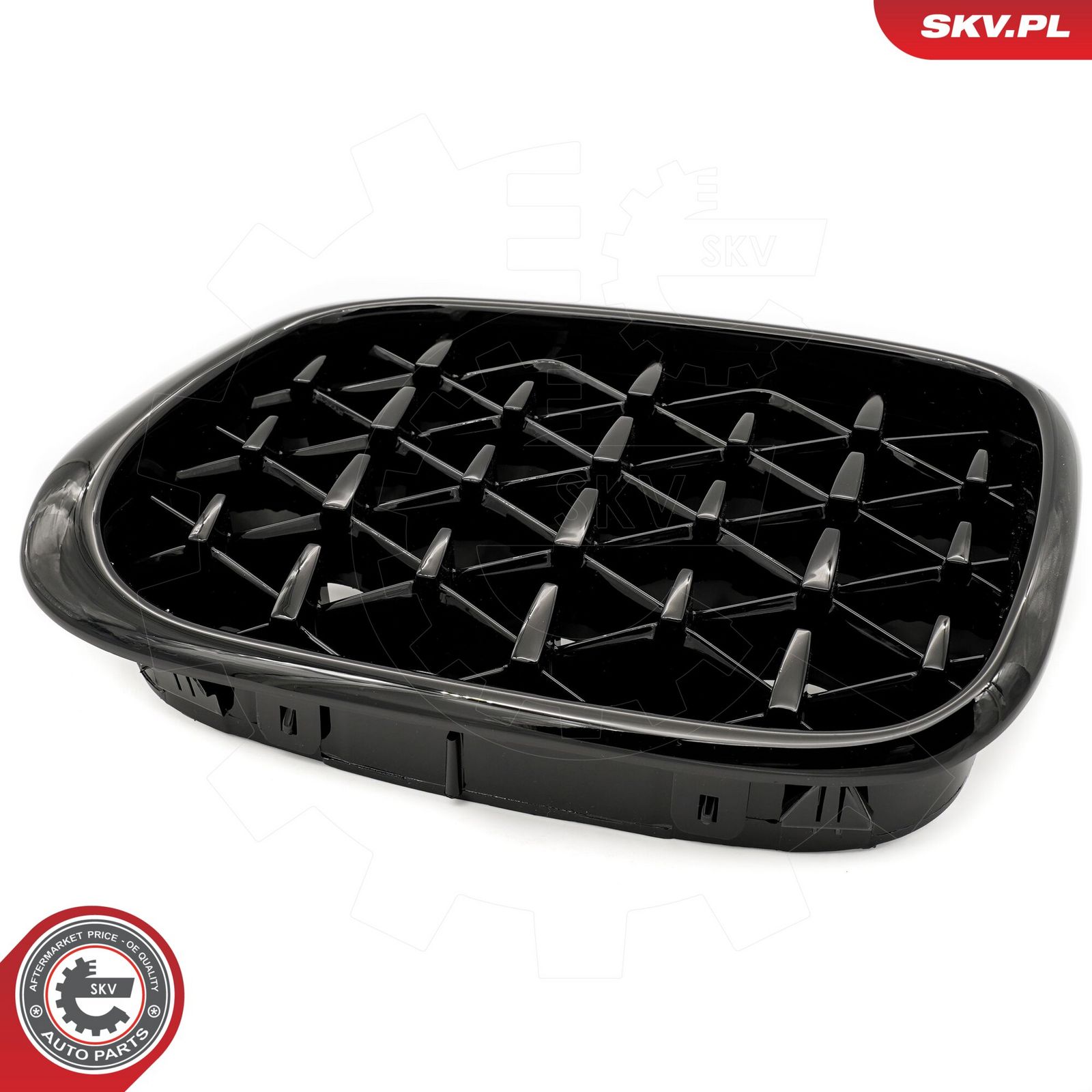 Radiator Grille-6