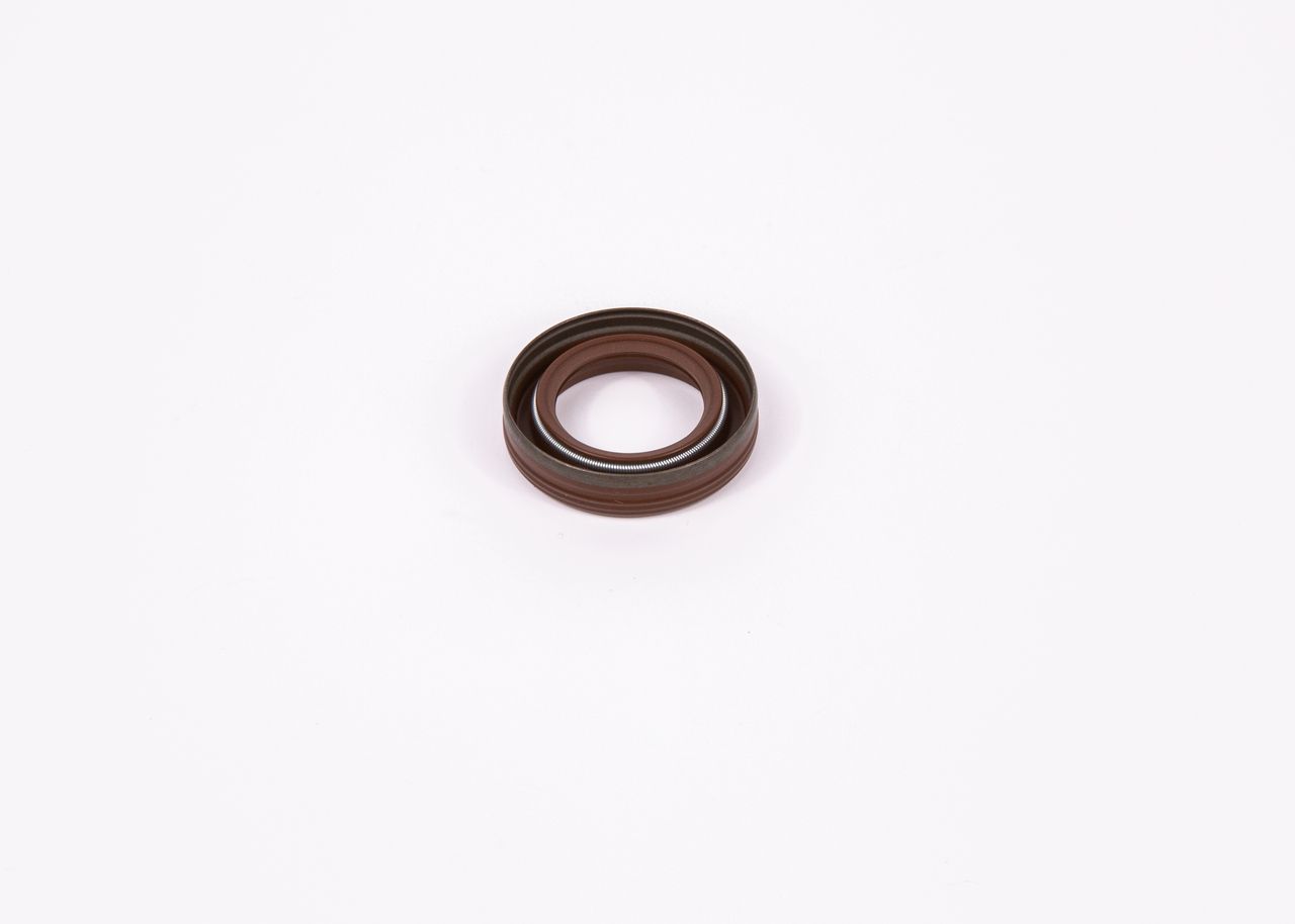 Seal-1
