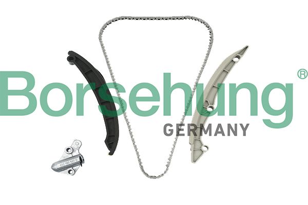 BORSEHUNG B19257 Timing chain kit