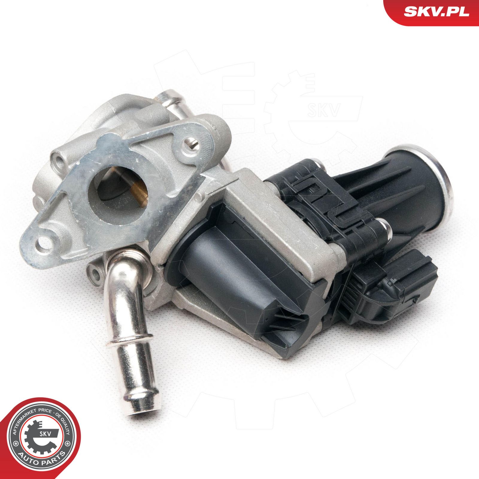 EGR Valve-4