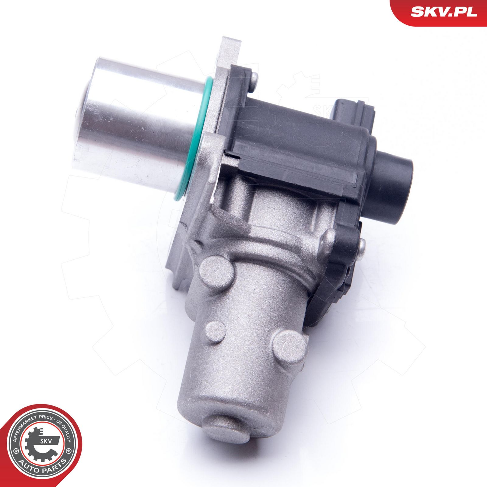 EGR Valve