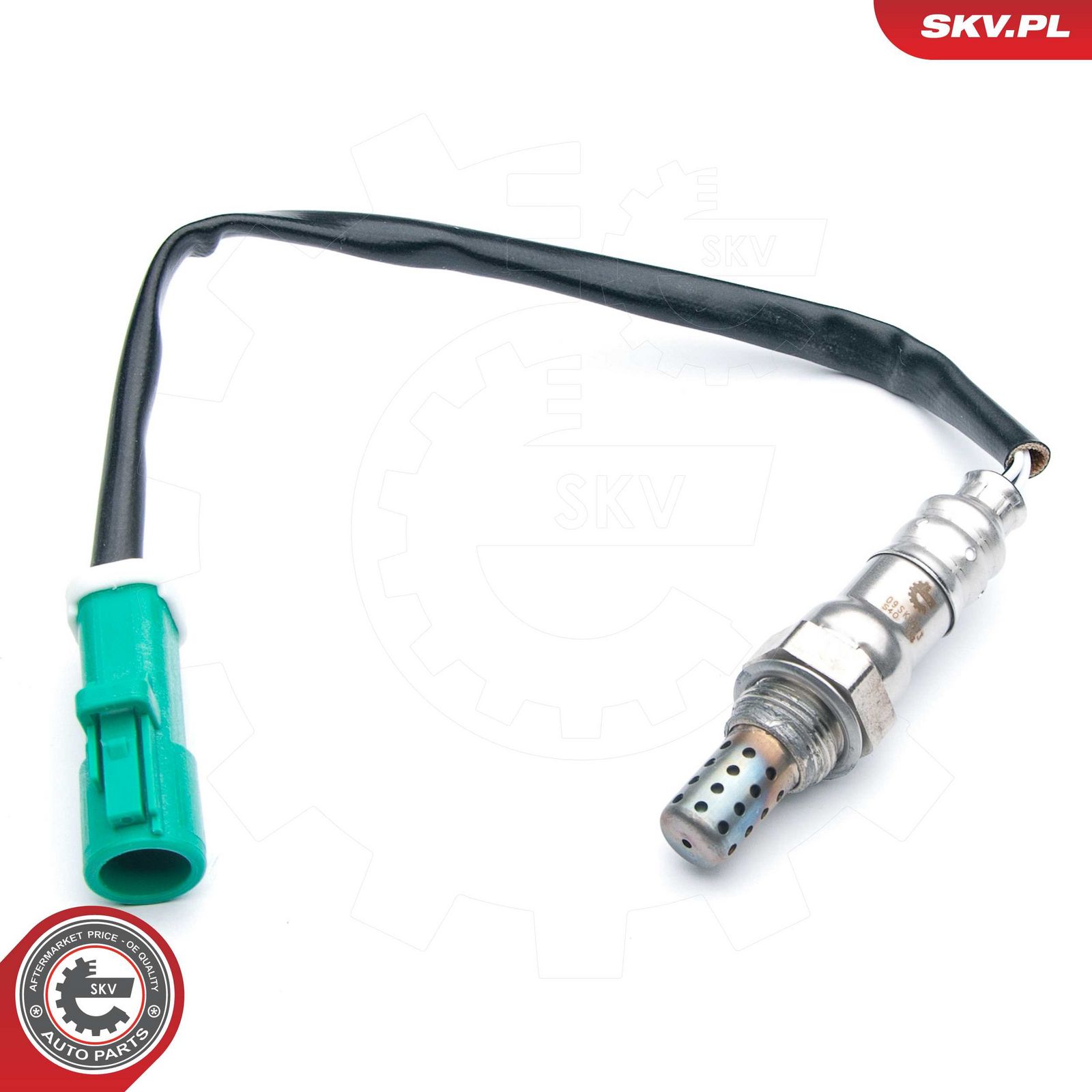 Oxygen Sensor-2