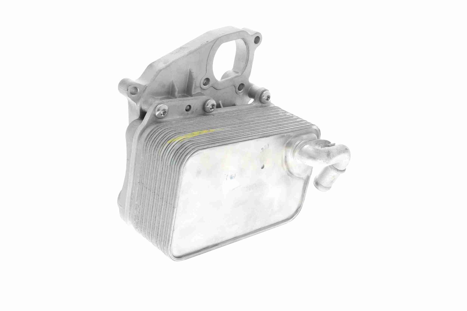 Oil Cooler, engine oil-11
