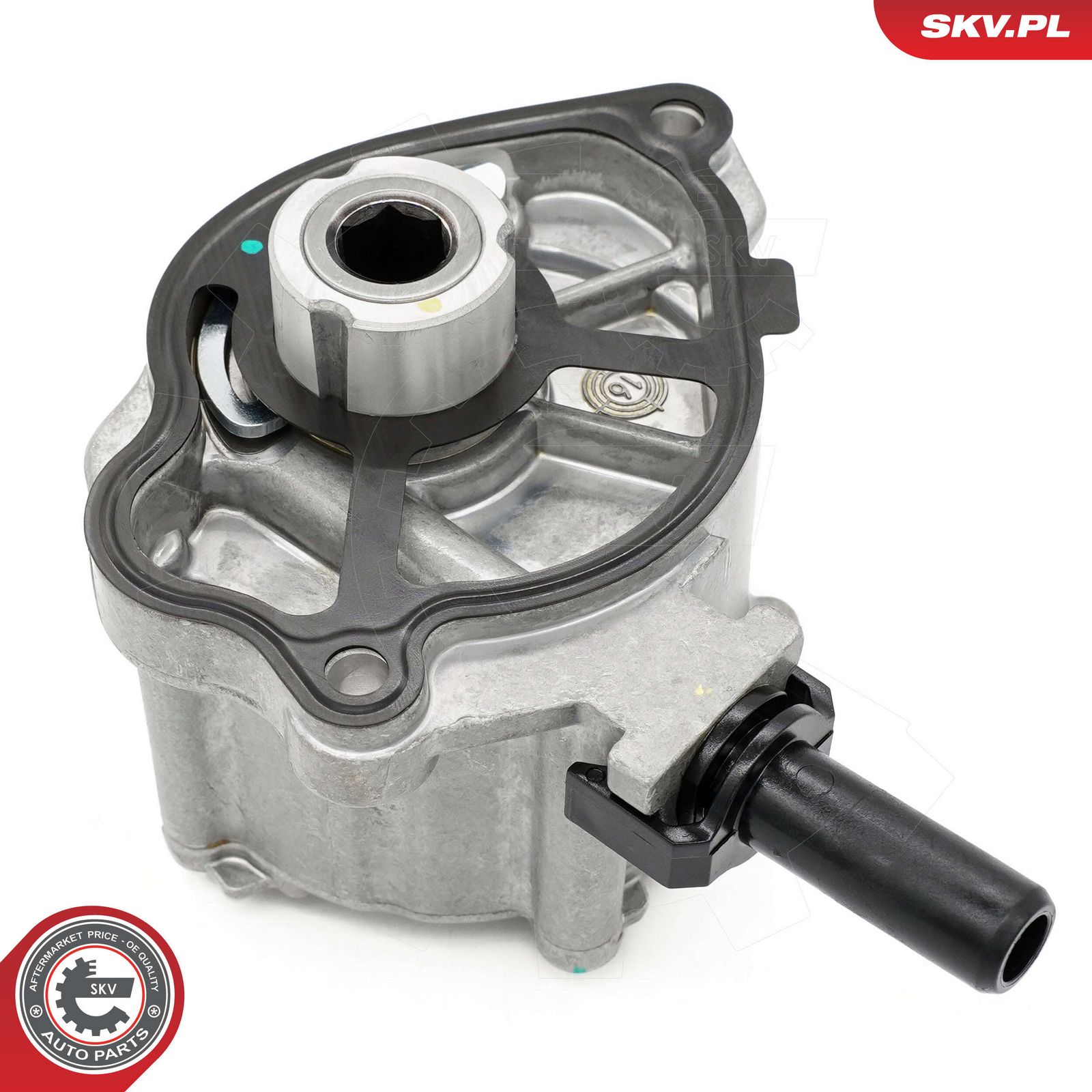 ESEN SKV 18SKV069 Vacuum pump, braking system