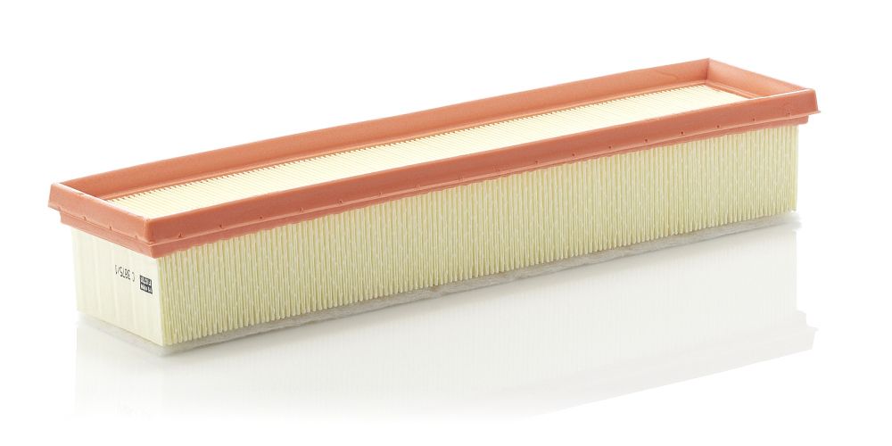 MANN-FILTER C 3875/1 Oro filtras