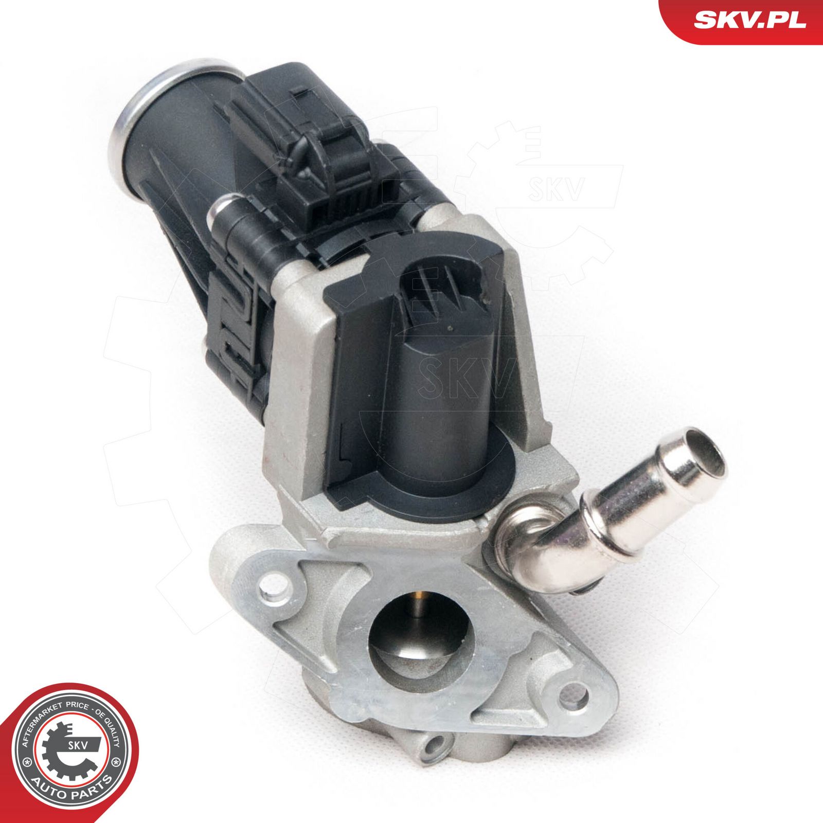 EGR Valve-4