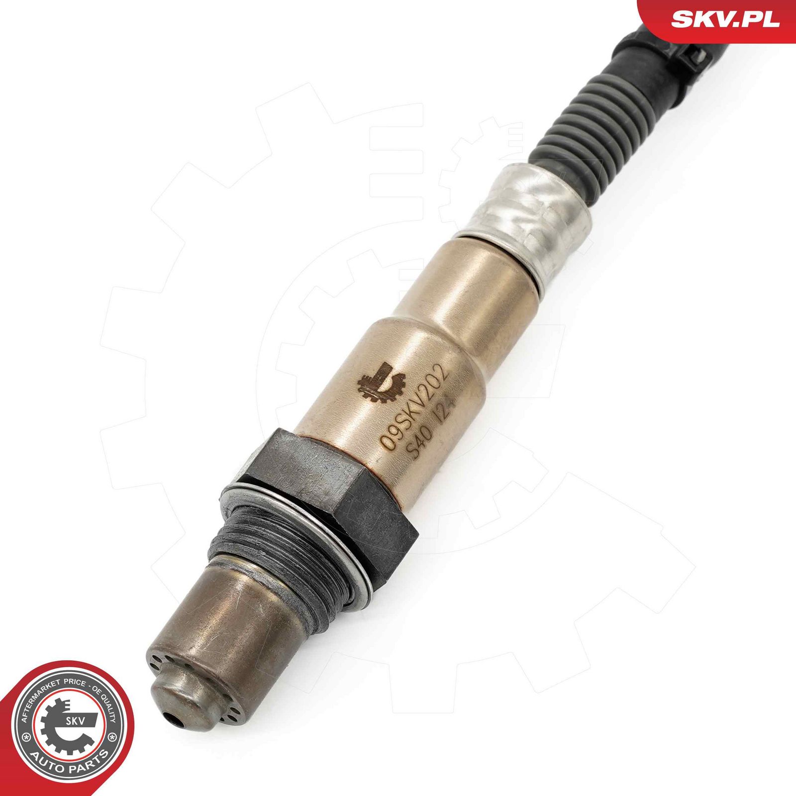 Oxygen Sensor-1