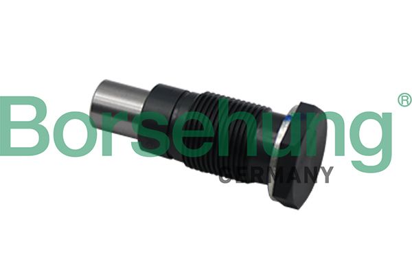 BORSEHUNG B19308 Timing chain kit