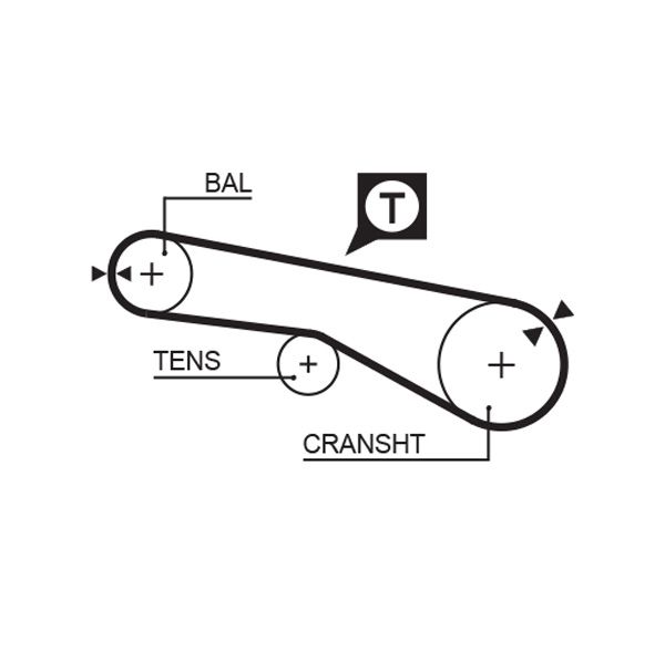 Timing Belt